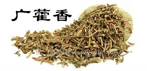 中药广藿香和藿香的区别是什么,外观/疗效/临床应用都有区别