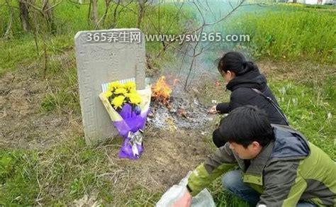 上坟不能带三物带了会有大灾,不推荐空心的贡品镜子和红木挂件