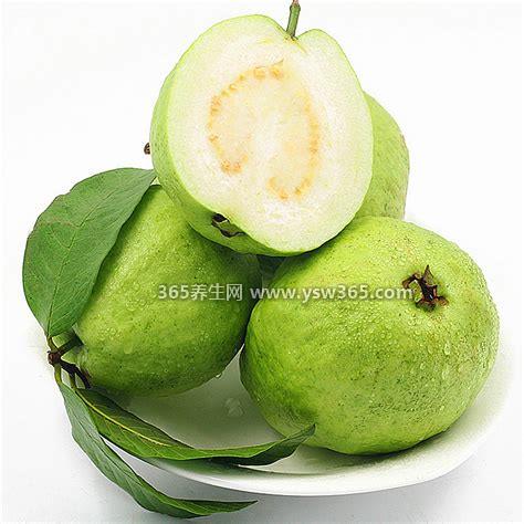 芭乐水果的功效与作用,帮助消炎止血/提高或降低免疫力等等