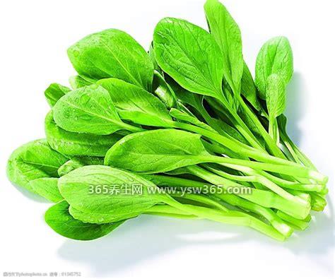 鸡毛菜是什么菜,就是大白菜的嫩苗/看起来又细又细长