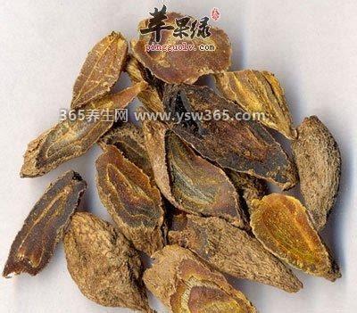 郁金的功效与作用及禁忌,有活血止痛/清心凉血/利胆的作用