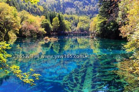 九寨沟旅游几月份最佳时间