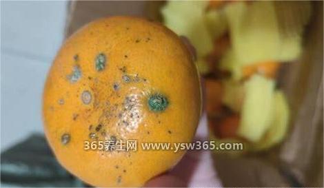 肺癌千万别吃三种水果,发霉腐烂的凉性水果不能吃(如:菠萝)