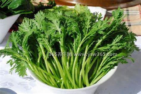 茼蒿菜的作用与功效,能提高免疫力/防止便秘/止咳化痰
