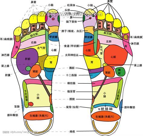 超详细足底脚底穴位图解,按摩涌泉穴可以防治多种疾病