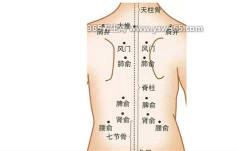 湿气重拔罐在哪个部位图片,涌泉穴/足三里穴/中脘穴