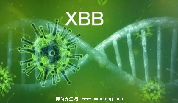 XBB毒株是什么病毒症状严重吗,是变异株会引起腹泻发烧等