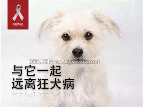 10种情况不需要打狂犬疫苗,动物已经接种了疫苗就不需要在打了