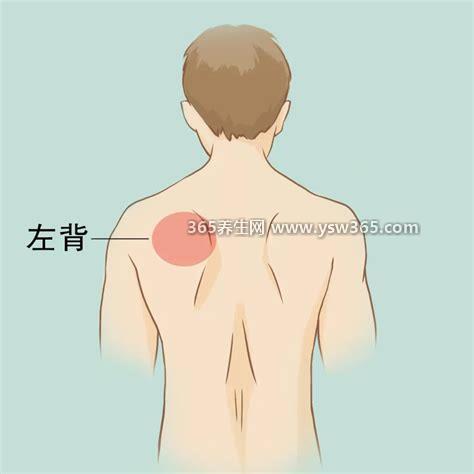 后背疼痛图片位置示意图及病情对照图,有些与疾病有关不能忽视