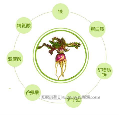 玛咖片的功效与作用,补肾壮阳/缓解身体疲劳/调节内分泌