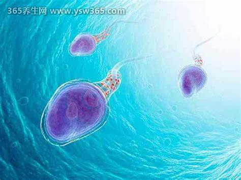 gpal精元抗体是什么意思,指的是性伴侣的数量
