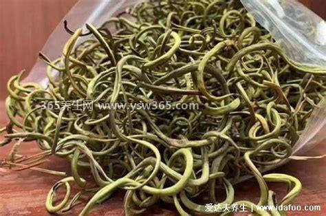 肾精草泡水的功效与作用禁忌,有利尿消肿/清热解毒的功效