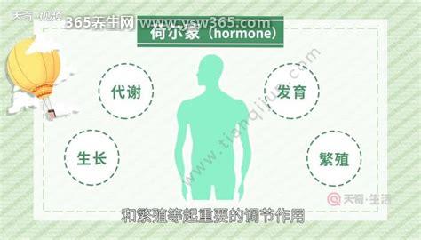 荷尔蒙是什么意思?是什么味道,女人的话是淡淡的体香