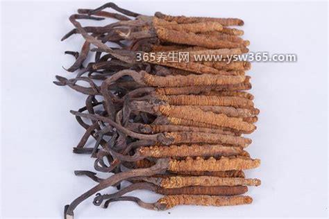 冬虫夏草真的那么好吗,从中医的角度来说是非常好的壮阳补品
