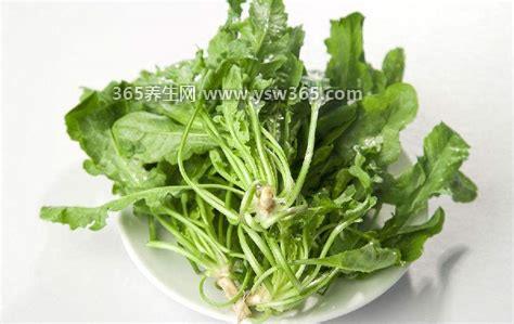 吃荠菜的禁忌,避免不溺水直接吃/避免过多的调味品