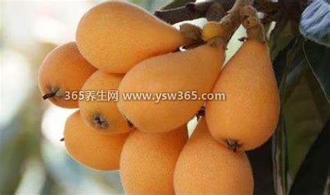 这6种水果止咳化痰,止咳化痰效果最好的是雪梨