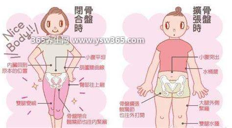 孕妇耻骨疼在哪个位置图片,位于小腹和腿部之间/小腹下方