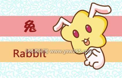 十兔九苦最命苦的兔几月出生,农历二月/四月/九月出生的比较苦