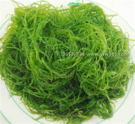 海发菜和发菜的区别,两者的生长环境不同/营养价值也不同