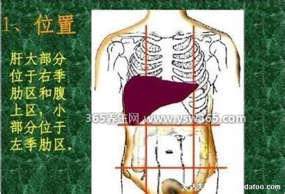 肝癌初期三处痒两处疼一处黑,右肩疼/肝区疼(眼睛干涩前脖子痒)